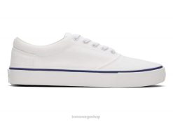 Toms kvinner fenix trenere LNRH295 sko hvit